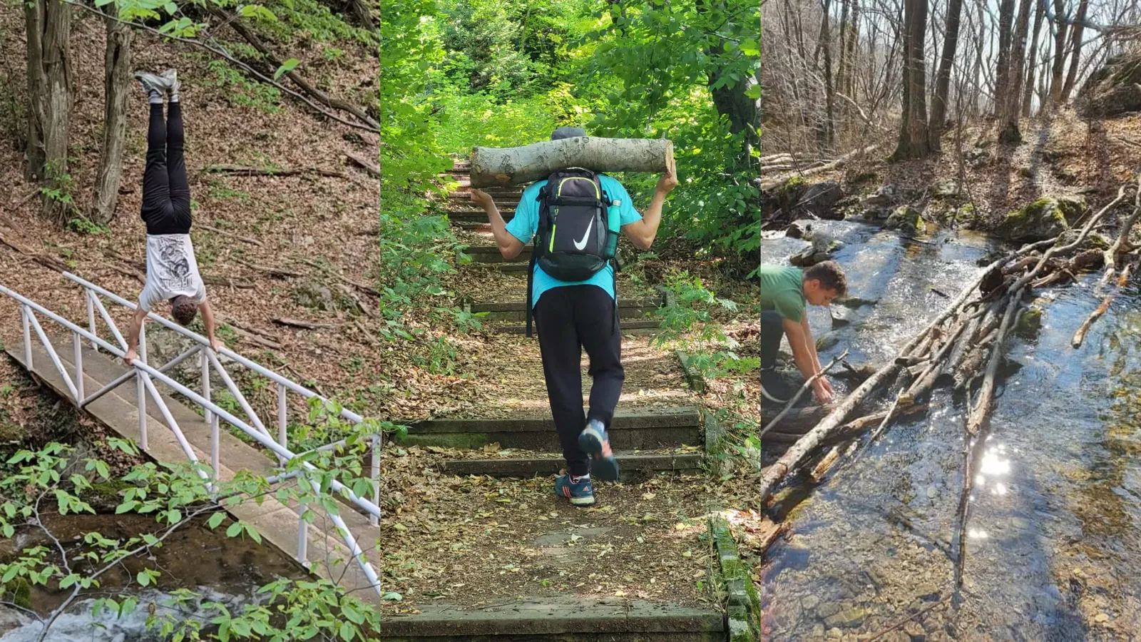 Three photographs of a forest outing, showing a footbridge, a log and a stream