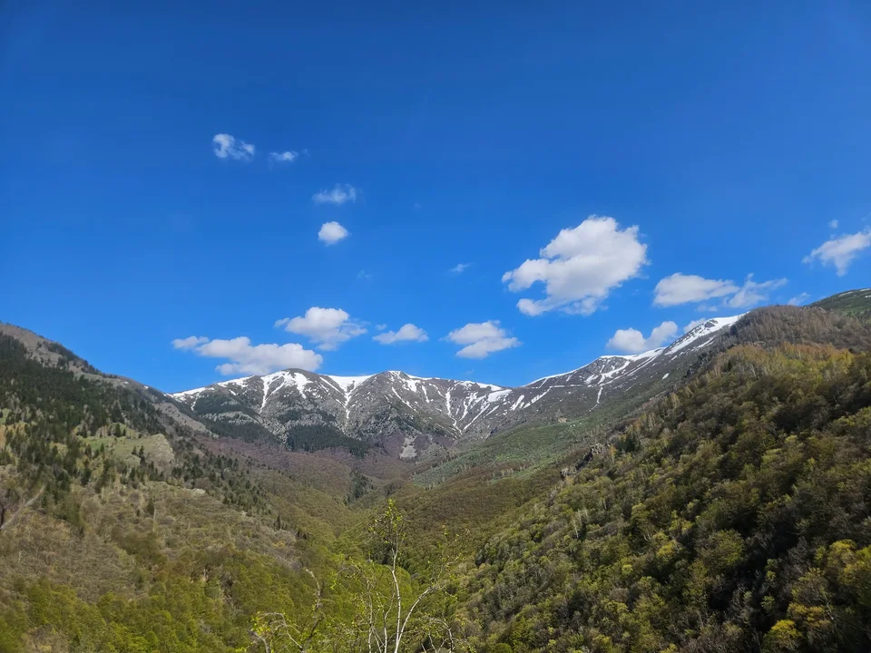 First view snowy peaks