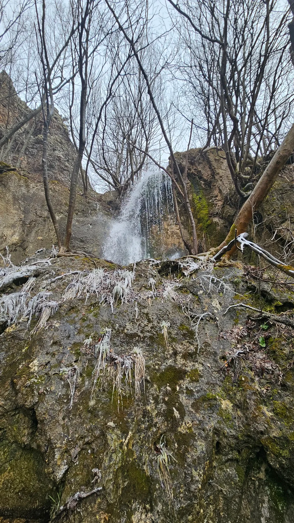 Frozen branches around waterfall