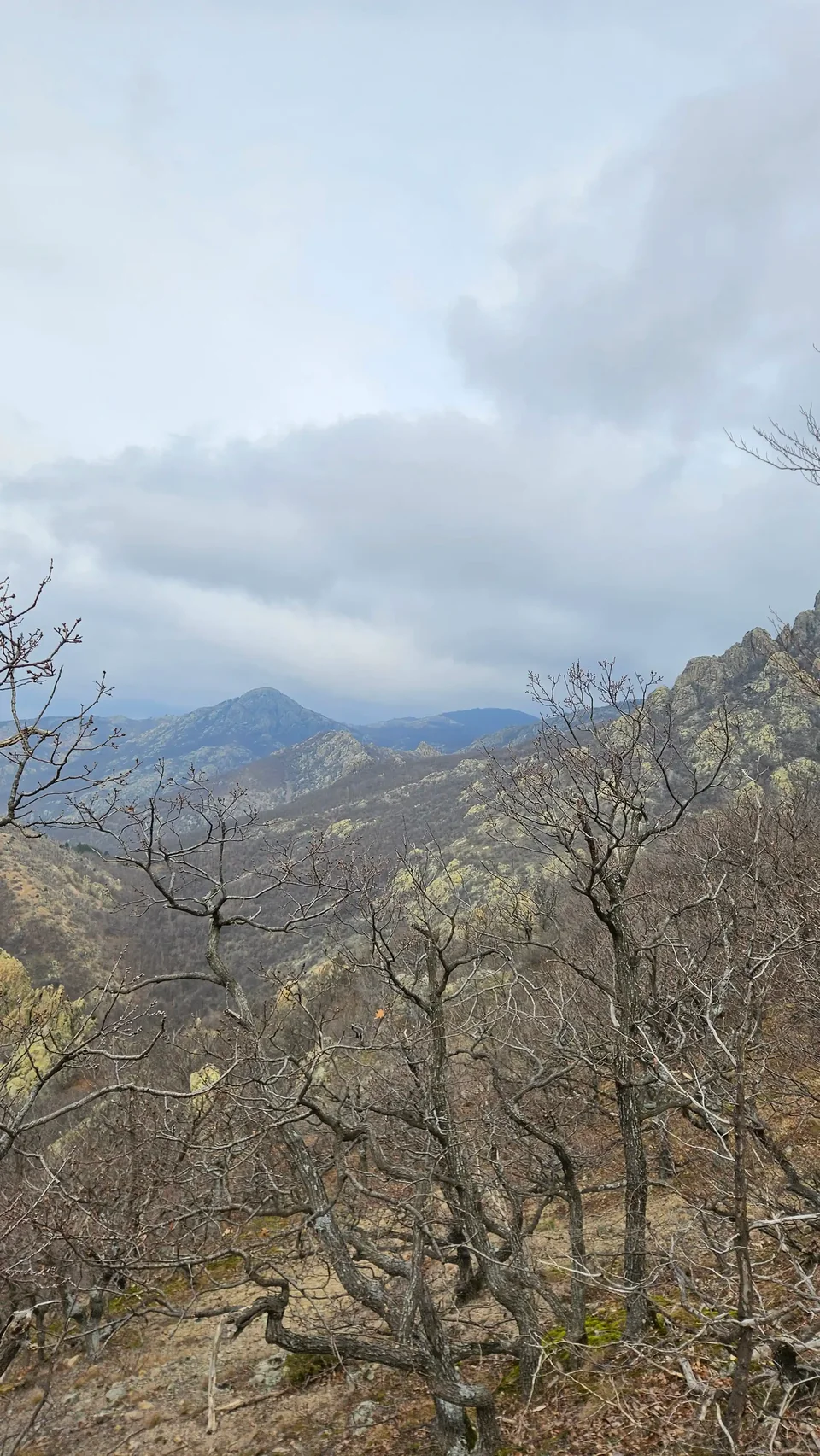 View towards Kutelka