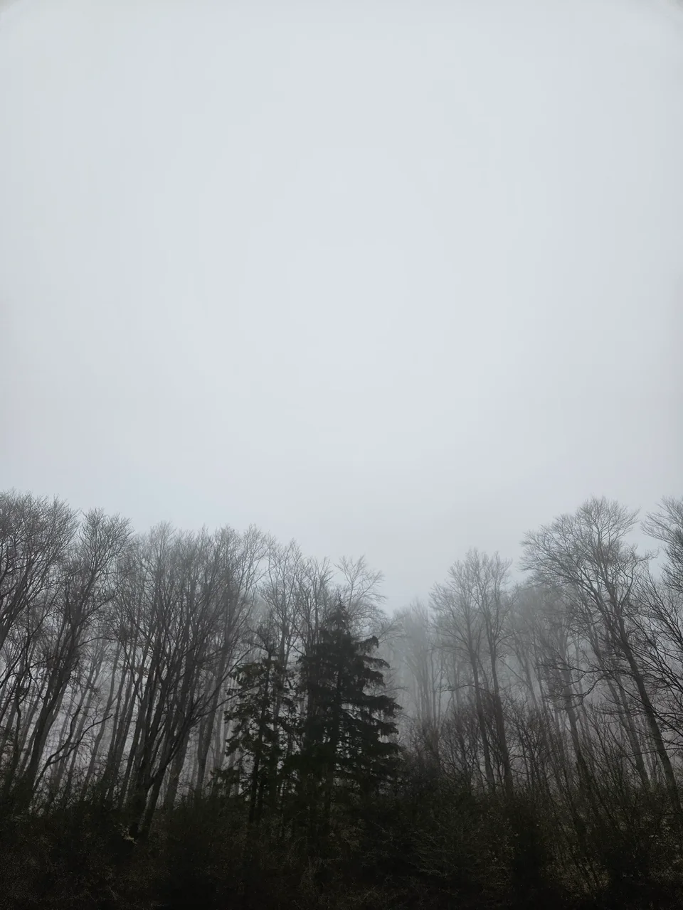 Mist