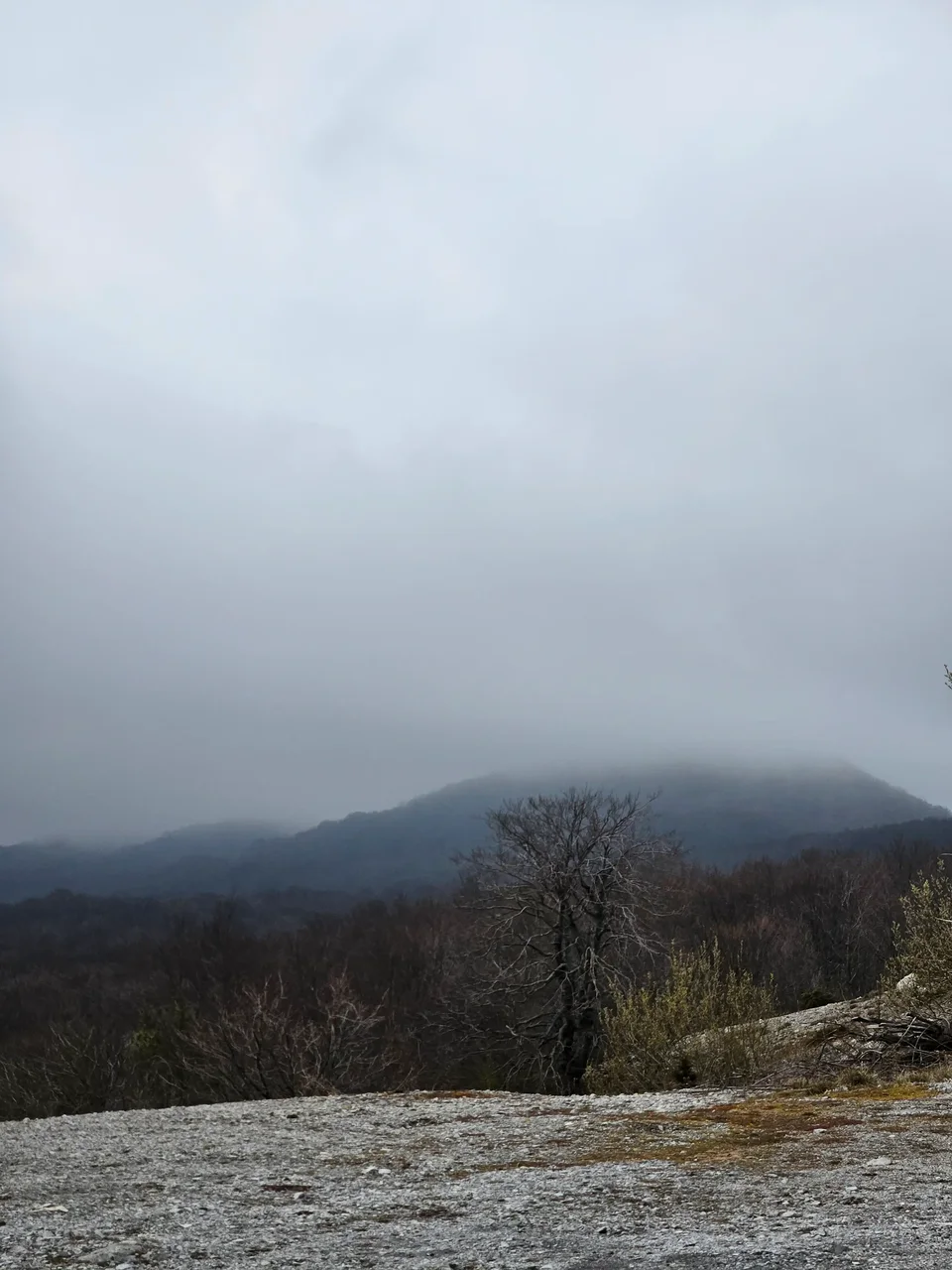 Mist