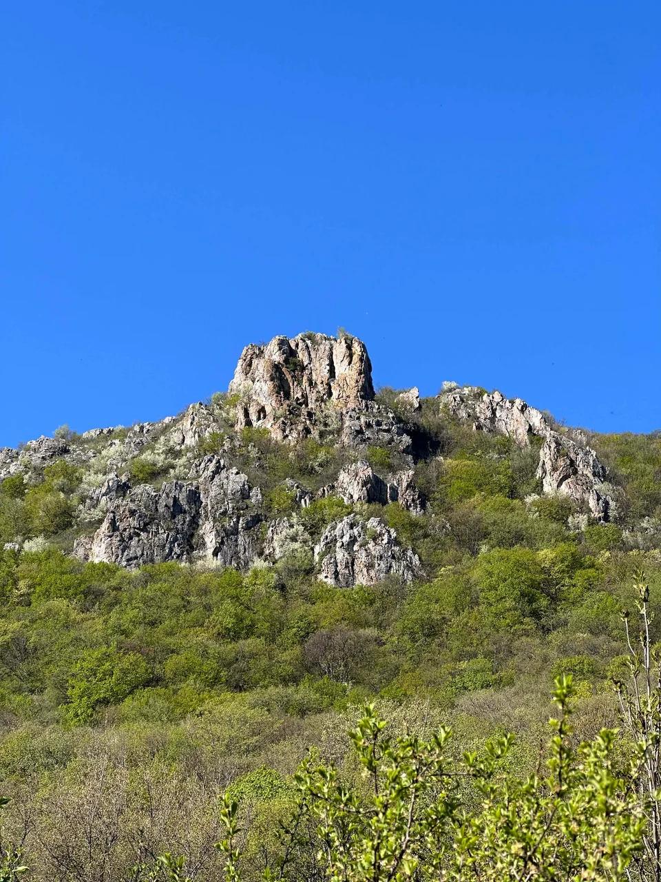 Kaloyanovi Kuli in the distance