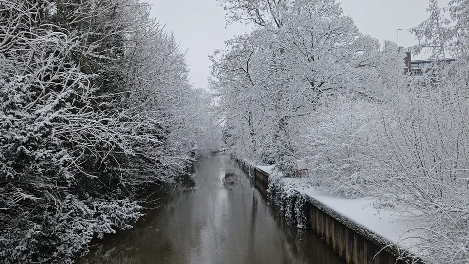 River with snowy trees