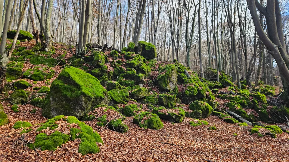 Rock with green moss looking mystical