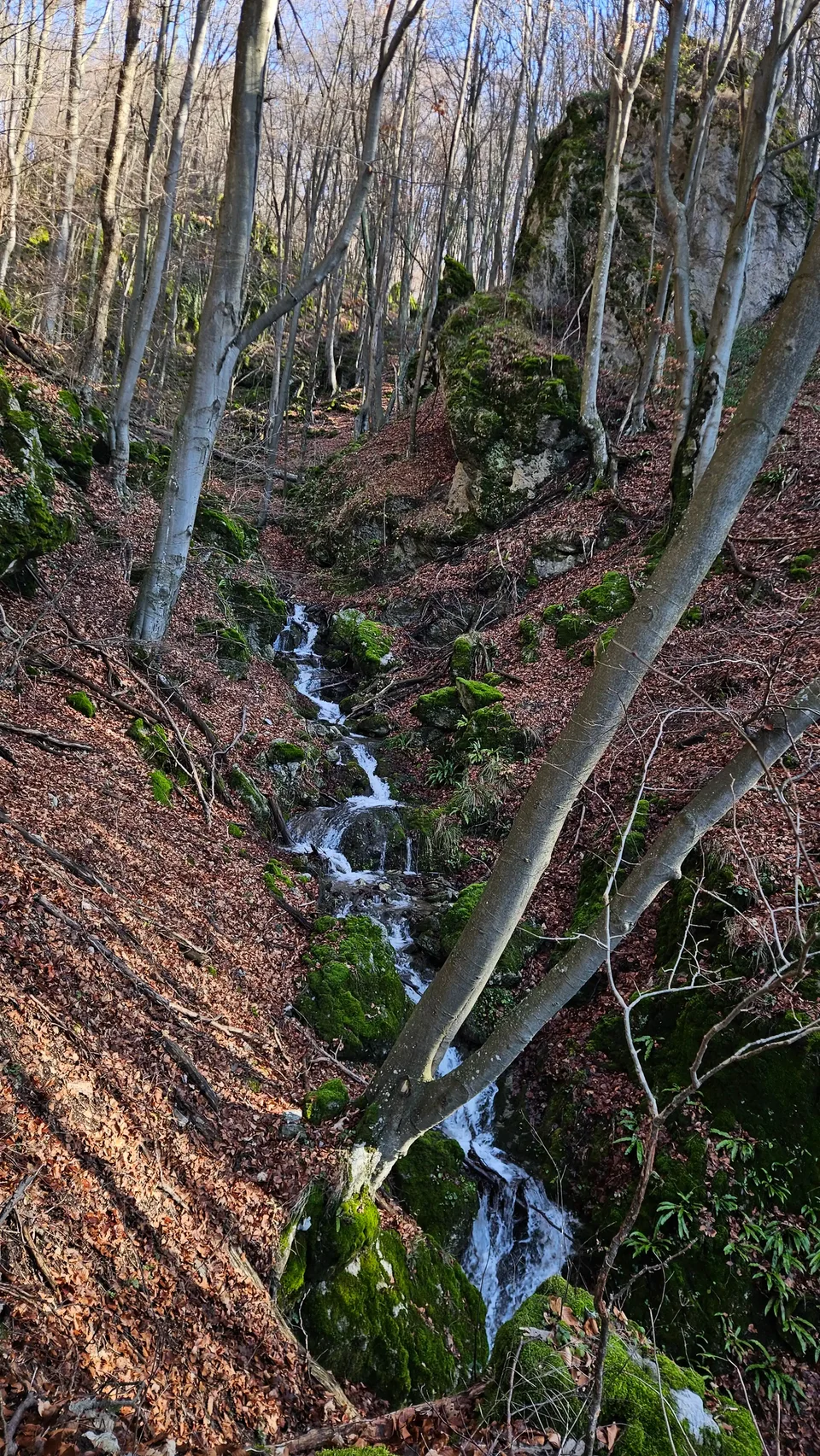River