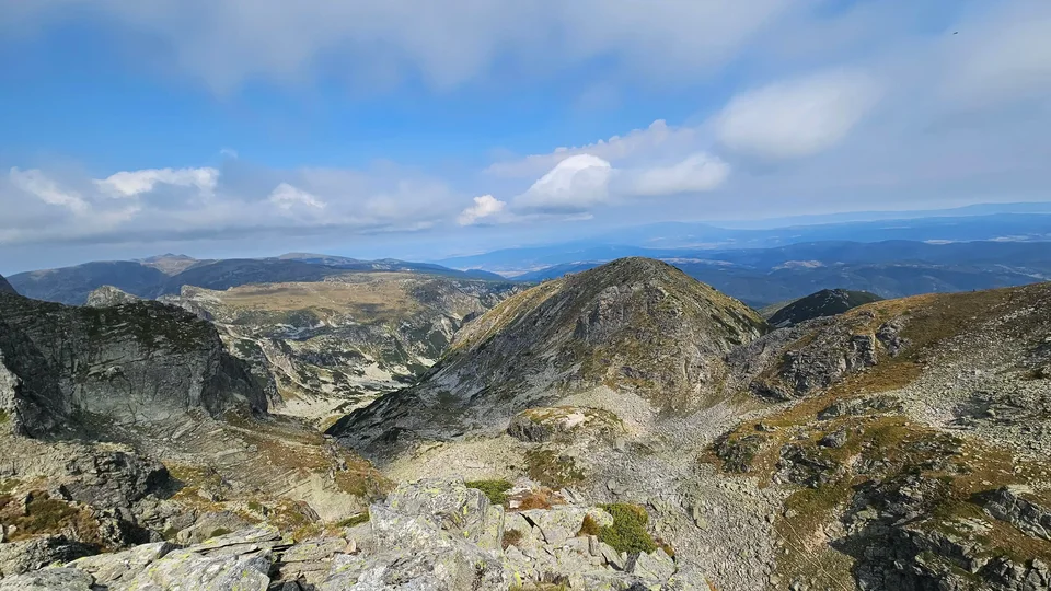 View